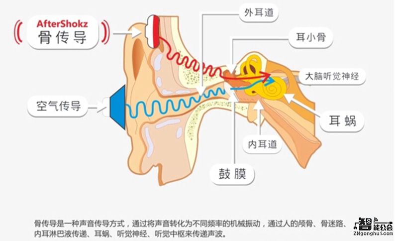 智能怪圈：用骨传导耳机听音乐就是伪命题 智能公会