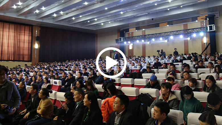 又一项世界标准诞生在中国！海尔防干烧燃气灶标准发布 智能公会