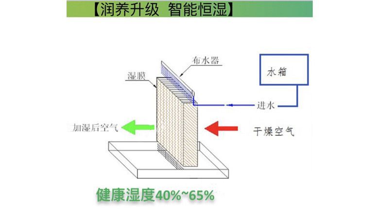 再不蹲草丛就要退出草丛三美？小妲己终于是使出了秘密武器 智能公会