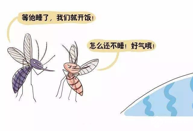 想默默无“蚊”的过完夏天，就得知道蚊子为何那么爱你 智能公会