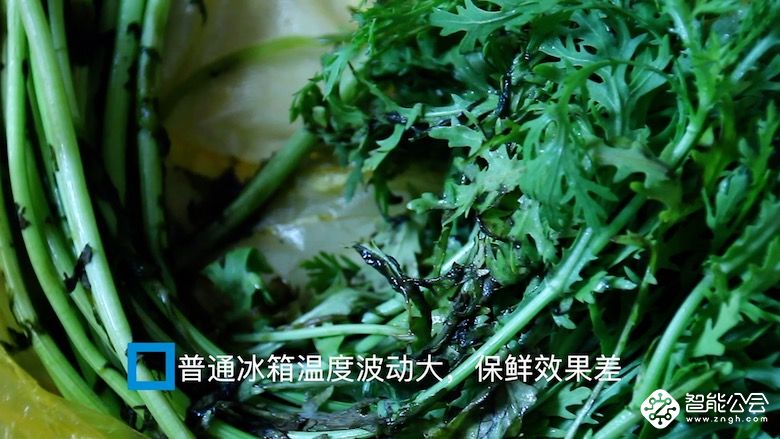 夏季食材易变质 米家互联网冰箱智能保鲜不含糊 智能公会